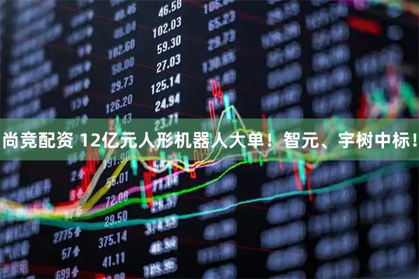 尚竞配资 12亿元人形机器人大单！智元、宇树中标！