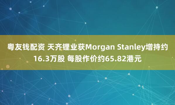 粤友钱配资 天齐锂业获Morgan Stanley增持约16.3万股 每股作价约65.82港元